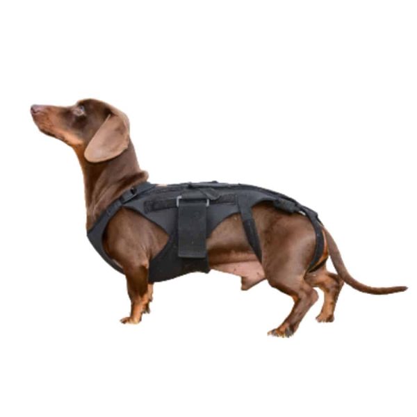 Canine Back Brace - Custom Order